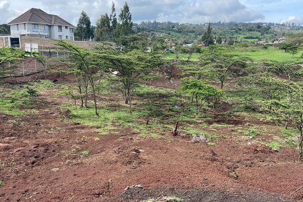 1/8th acre vacant residential land for sale in Kibiko Ngong