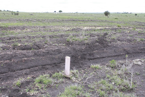 50 by 100 Gated Community Plots for Sale in Matali Kitengela