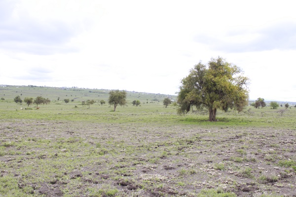 1 Acre Prime Land for Sale in Matali Kitengela